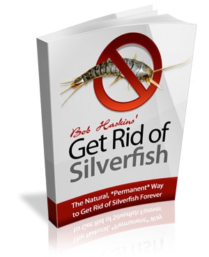 Get Rid Of Silverfish